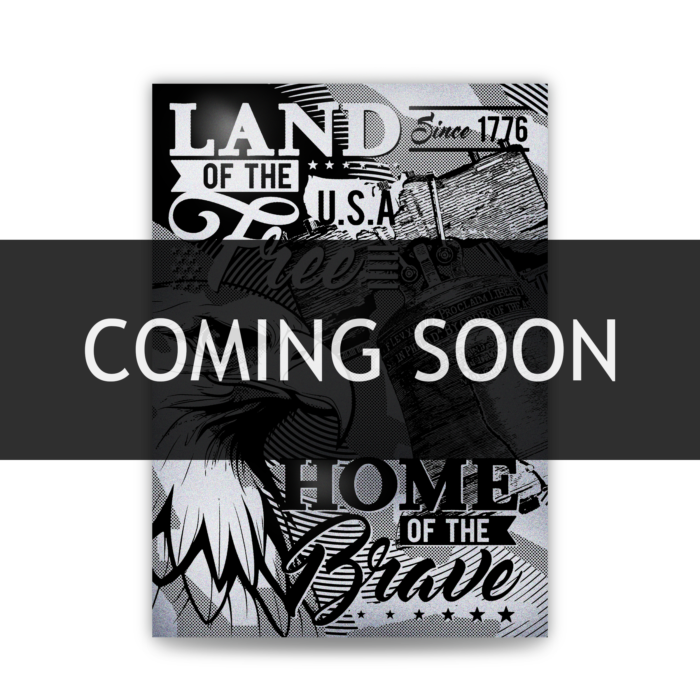 25g .999 Silver Eagle Trading Card || Proof-like